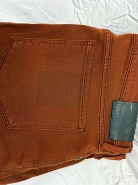 Lenox Men's Rust Orange Slim Jeans
